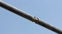 inspect cables regularly for wear