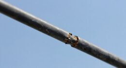 inspect cables regularly for wear
