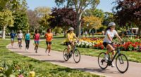 optimal weekly cardio routine