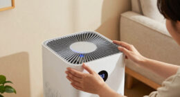 15 Best Air Purifiers for Allergy Relief in 2026
